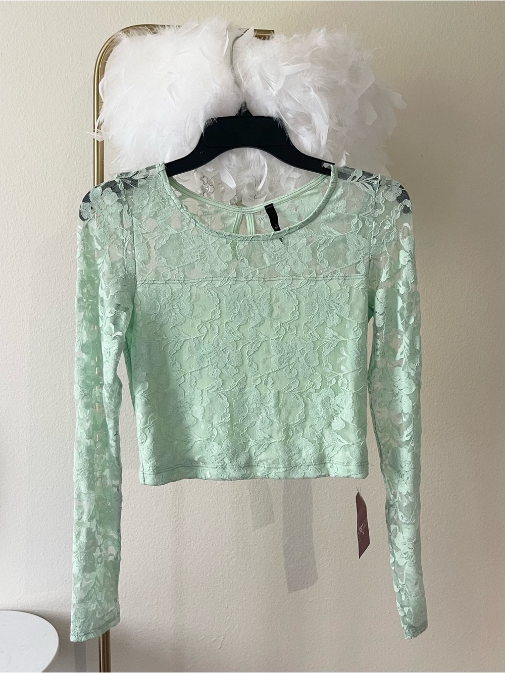 Full lace sheer neckline long sleeves top